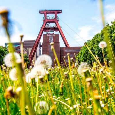 Ruhrgebiet - Zeche Zollverein Essen